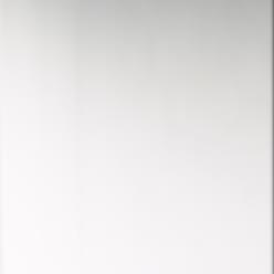 	
Blankpolerad