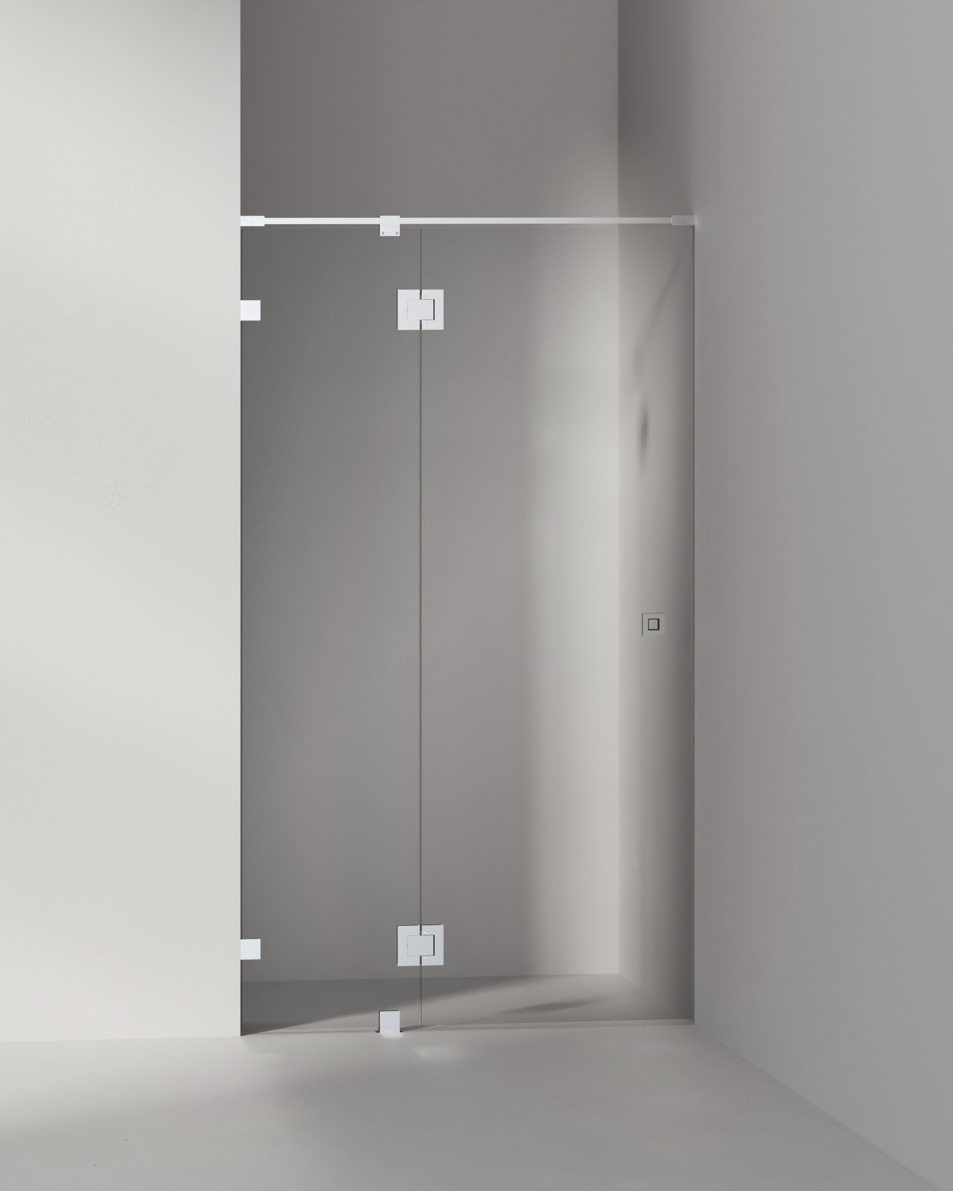 Den Eleganta Integriteten: Allt Du Behöver Veta Om en Duschdörr i Frostat Glas